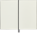 20704