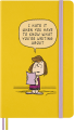 gtin_8056999277123_01.png