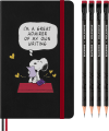 26731.png