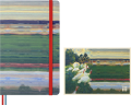 gtin_8056999275785_04.png