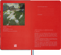 gtin_8056999275785_05.png