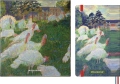 gtin_8056999275785_08.png