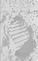gtin_8056999277536_03.png