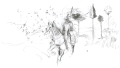 112974-fc-3.png